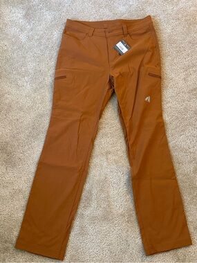 NWT Eddie Bauer Womens 10 First Ascent WR Guide Pant: Rust Outdoors Hiking